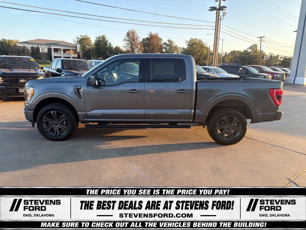 2023 Ford F-150 XLT