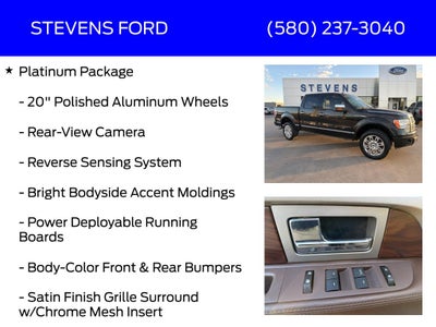 2010 Ford F-150 Platinum